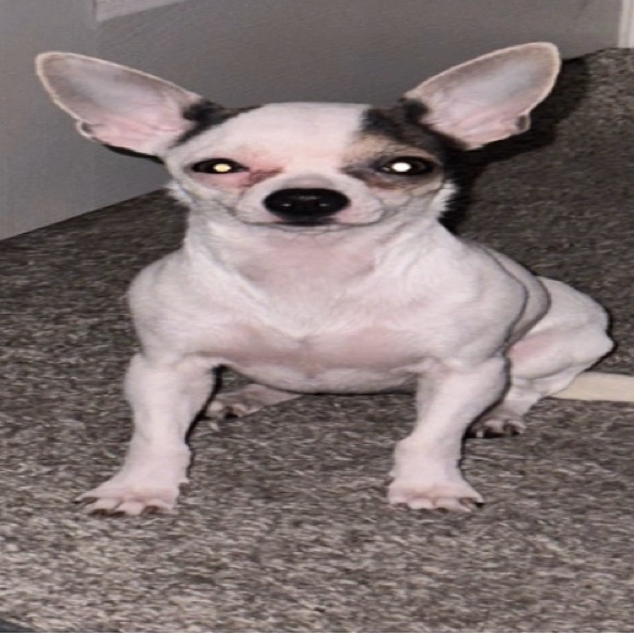 cesargamz